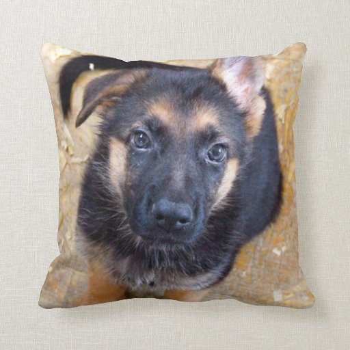 german shepherd body pillow