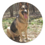 german shepard sticker