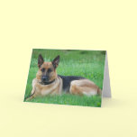 German Sheperd - Dog Greeting Card