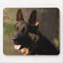 German Sheperd mousepads