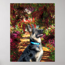 German Shepherd 15 -  The Path Posters