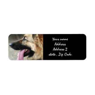 German Cards | Zazzle