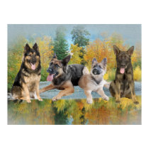 German Shepherd An Autumn Day posters