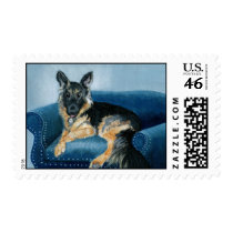 German Shepherd Angus Stamp