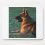 German Shepherd at sunset - "Zamp" Mouse Pads