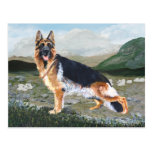 German Shepherd at Work Post Card