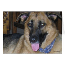 German Shepherd Bandana - Ranch Dog Lover Blank Card