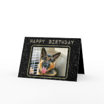 German Shepherd Birthday Card