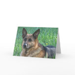 German Shepherd Birthday card