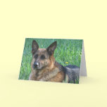 German Shepherd Birthday card