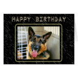 German Shepherd Birthday Card