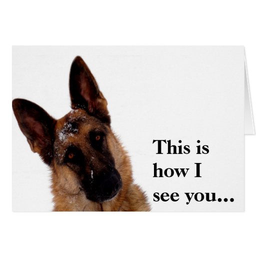 That Dog Can Sell Anything That Dog Can Sell Anything