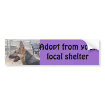 German Shepherd Bumper Sticker bumper stickers by sunsett76 German Shepherd Bumper Sticker bumper stickers