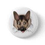German Shepherd Busting Out Pins