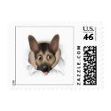 German Shepherd Busting Out - Customized stamp