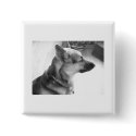 German Shepherd buttons