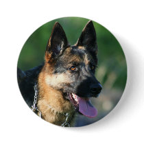 German Shepherd buttton Pinback Button