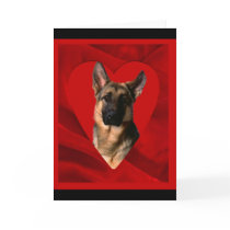 German Shepherd cards