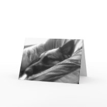 German Shepherd Card