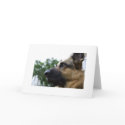 German Shepherd Card by phila67 German Shepherd Card
