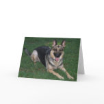 German Shepherd Cards