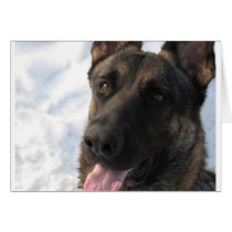 German Shepherd Greeting Card