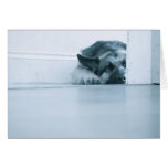 German Shepherd Card