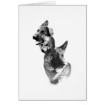 German Shepherd Charcoal 2 Card