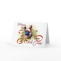 German Shepherd Christmas Cards