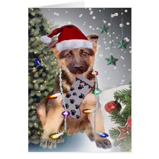 German Shepherd Christmas Lights Card | Zazzle