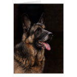 German Shepherd Classic Photo Greeting Card cards