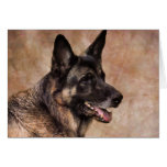 German Shepherd Classic Photo Greeting Card cards
