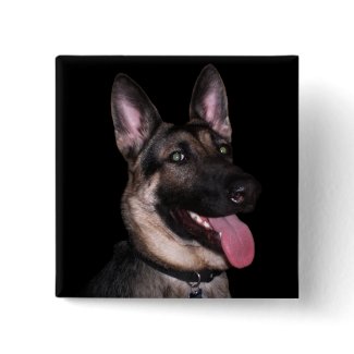 German Shepherd Collection button