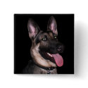 German Shepherd Collection buttons by KELLBELL535 German Shepherd Collection buttons