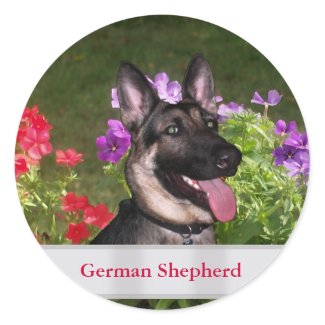 German Shepherd Collection sticker