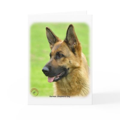 German Shepherd Dog 9B50D-20 Greeting Card