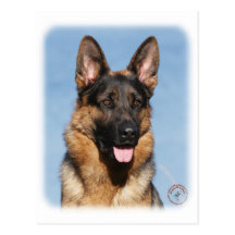 German Shepherd Dog 9Y554D-150 Postcard