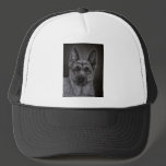 German Shepherd Dog Art - Noble Hat