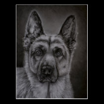 German Shepherd Dog Art - Noble postcards