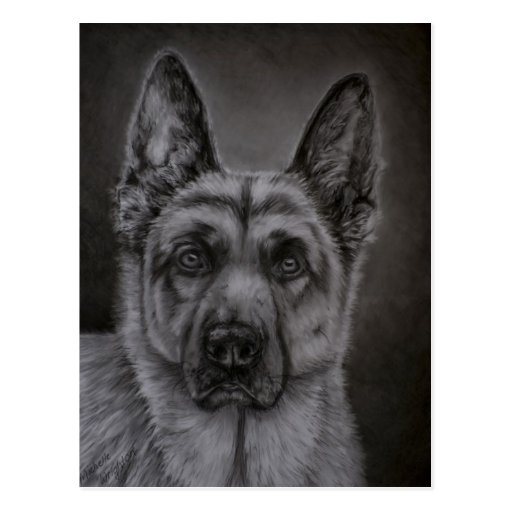 German Shepherd Dog Art - Noble Post Cards