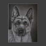German Shepherd Dog Art - Noble Post Cards