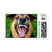 German Shepherd  Dog Bares Teeth Stamp