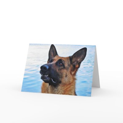 German Shepherd - Dog card by mmersdesign