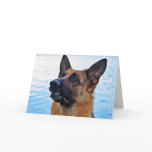 German Shepherd - Dog card