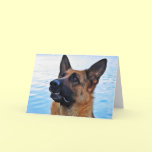 German Shepherd - Dog card