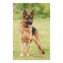 German shepherd dog custom stationery