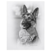 German Shepherd Dog Flyer Design