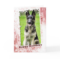 German Shepherd Dog Holiday Card