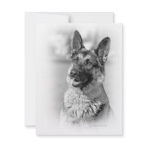 German Shepherd Dog Invites