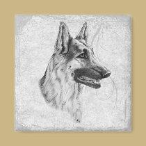German Shepherd Dog magnets